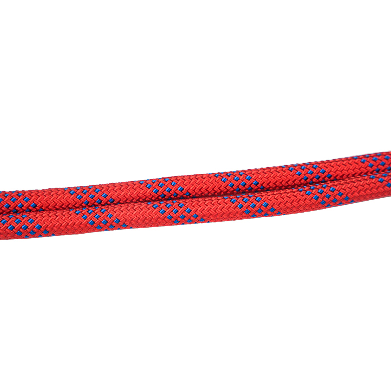 L01 পতন সুরক্ষা যমজ নিরাপত্তা ল্যানিয়ার্ড